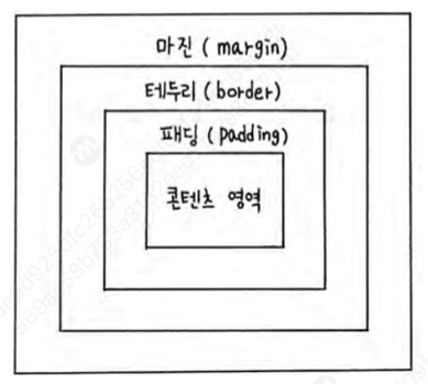 Box Model Structure